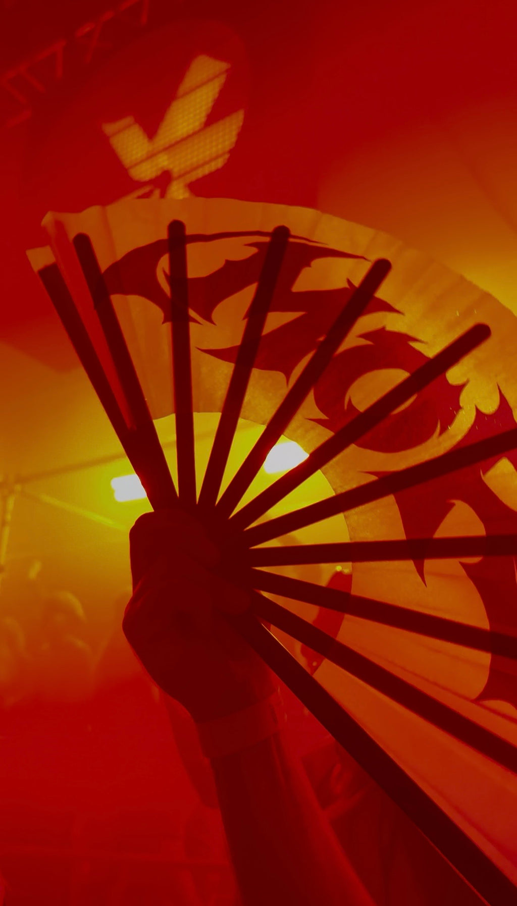 MOR Rave Fan